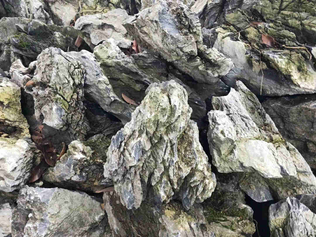 廣東英石、假山石、定制假山、英石批發(fā)