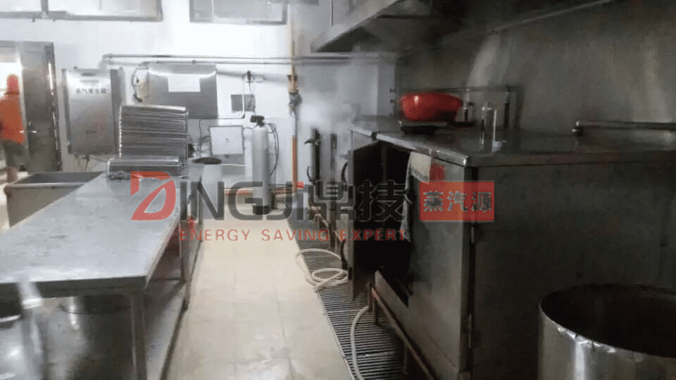 蘇州DINGJI鼎技服裝用蒸汽發(fā)生器，服裝用低氮蒸汽發(fā)生器