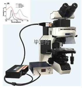 顯微分光光度計顯微光譜系統(tǒng)顯微分光光度計顯微紅外光譜儀、