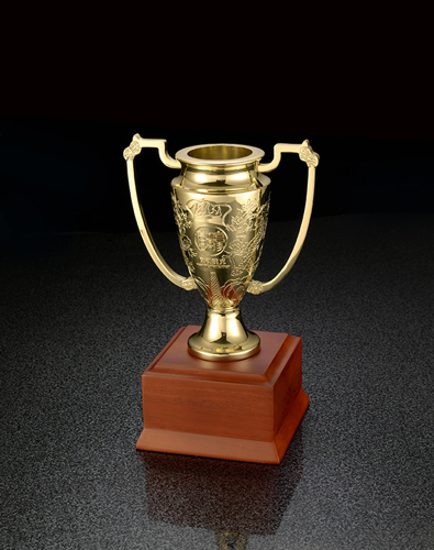 比賽獎(jiǎng)杯 游戲獎(jiǎng)杯 奧斯卡獎(jiǎng)杯 體育競技獎(jiǎng)杯 高檔獎(jiǎng)杯定做