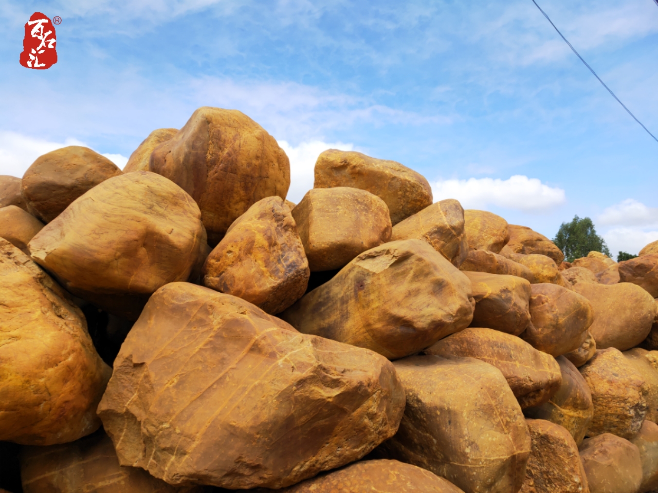 黃蠟石特級園林石 造景 廣東黃蠟石生產(chǎn)基地