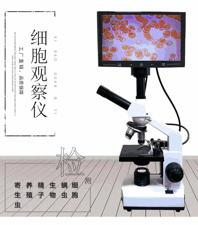 一滴血顯微檢測(cè)儀廠家直銷(xiāo)
