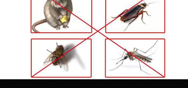 邯鄲滅蟑螂公司哪家好？哪家更專業(yè)？