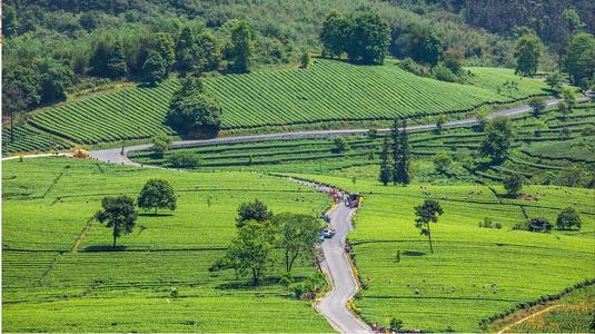 英德入住倚巒風(fēng)呂溫泉?jiǎng)e墅、積慶里紅茶谷（賞日落）兩日?qǐng)F(tuán)建游