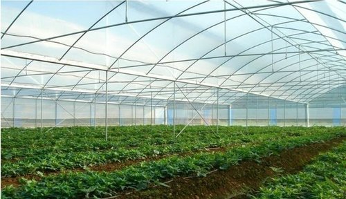 廣西養(yǎng)殖大棚廠家直銷-廣西高性價養(yǎng)殖大棚