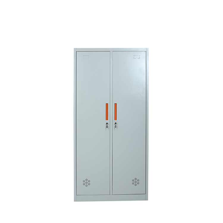 廠家直銷(xiāo)二門(mén)更衣柜辦公儲(chǔ)物柜